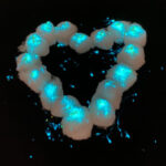 glowing-cotton-ball-heart-6x4